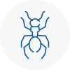 Ant Removals In Lichfield