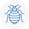Bed Bug Extermination In Lichfield