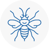 Lichfield Hornet Nest Removals