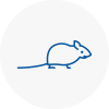 Mice Exterminators In Lichfield