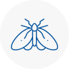 Moth Control Specialists In Lichfield
