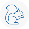 Lichfield Rodent Removals
